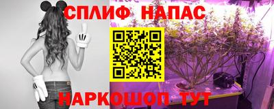 мдпв Ливны