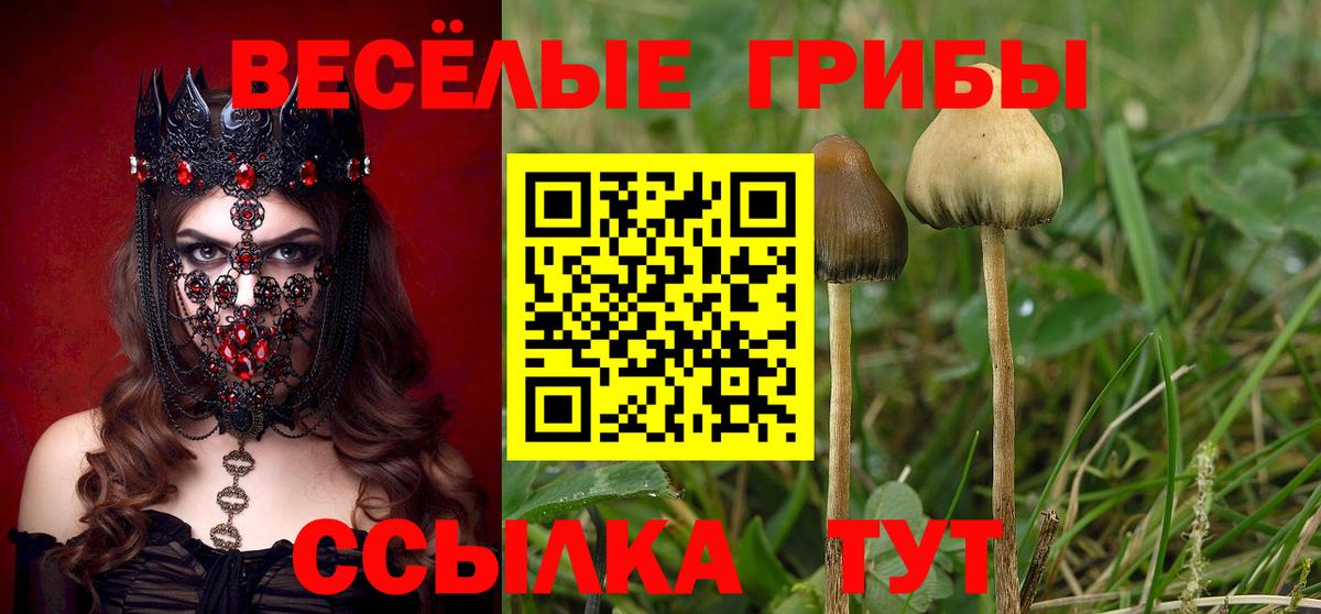 Дзержинск  Галлюциногенные грибы ЛСД  Вход с VPN 